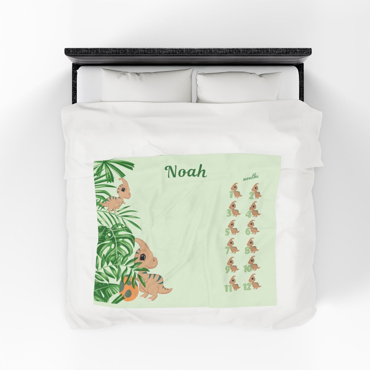 Personalized Dinosaur Milestone Baby Boy Blanket – Velveteen Plush Fleece