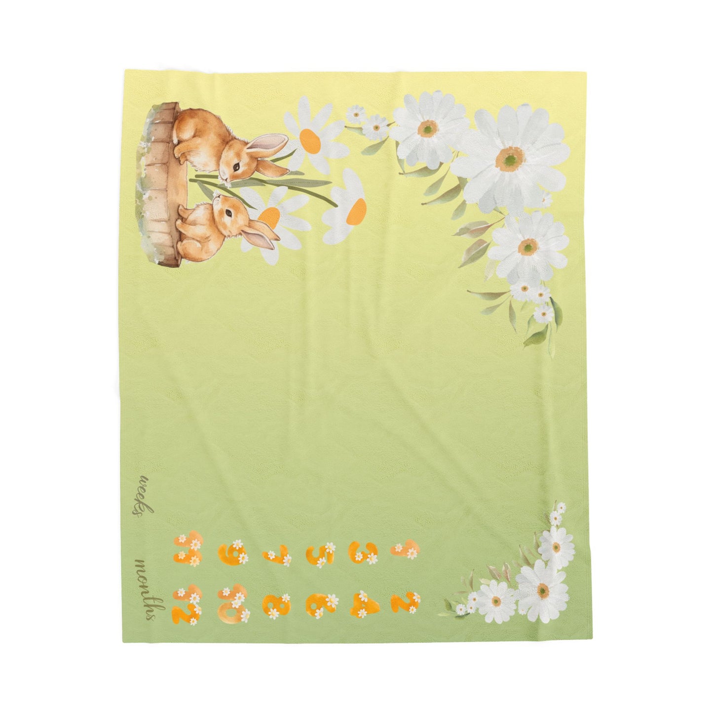Dasies and Bunnies Baby Girl Velveteen Plush Blanket
