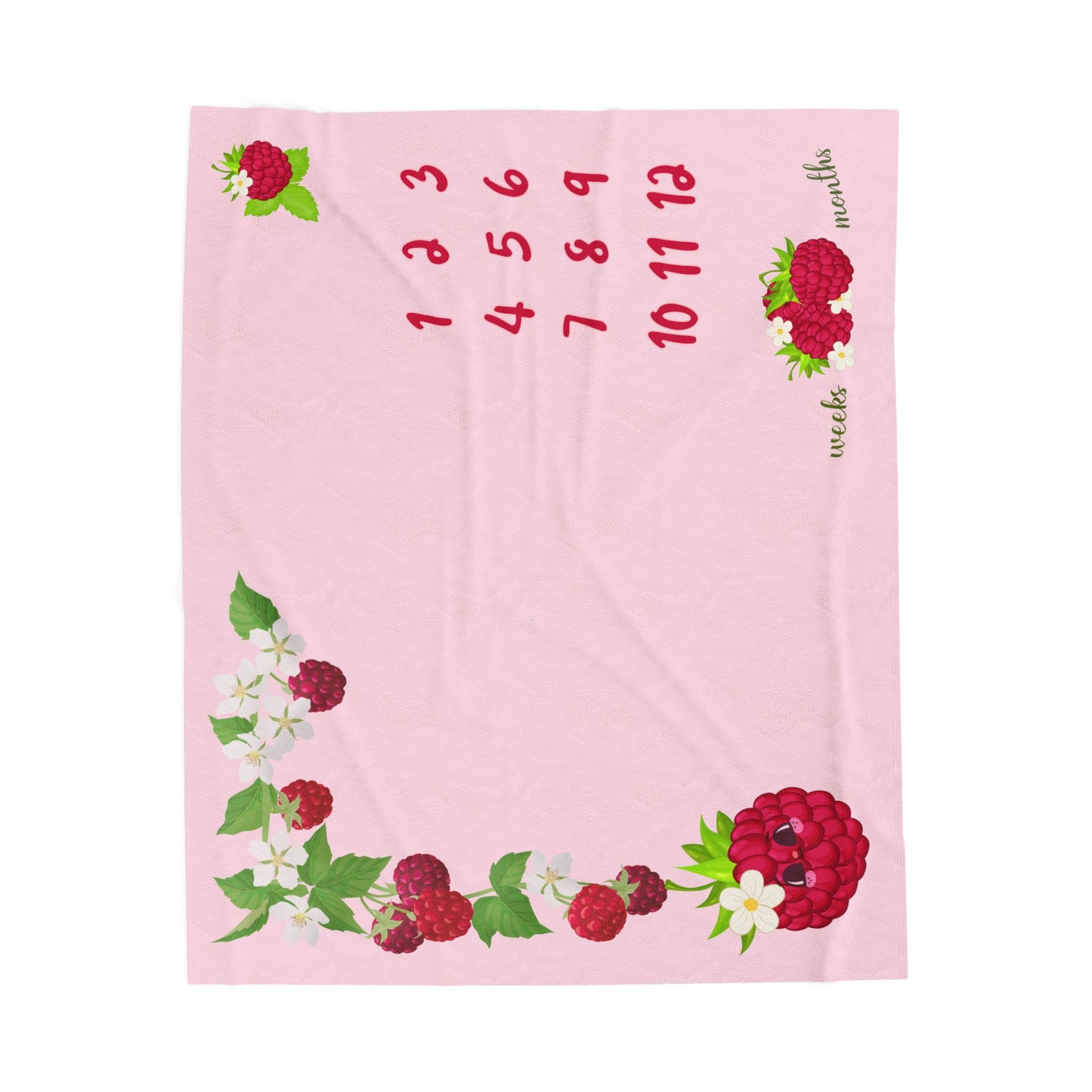 Raspberry Baby Girl Velveteen Plush Blanket