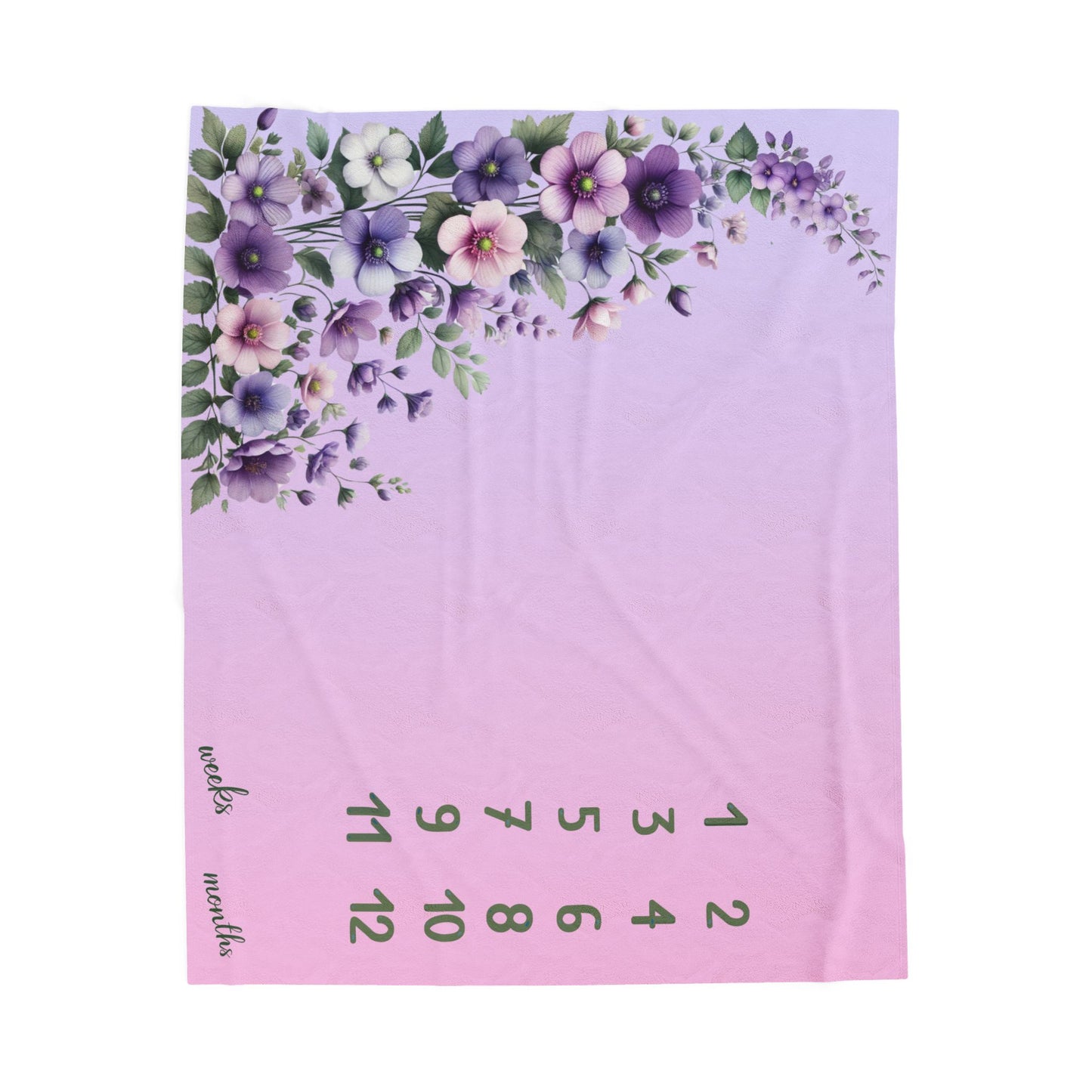 Floral Milestone Baby Girl Velveteen Plush Blanket