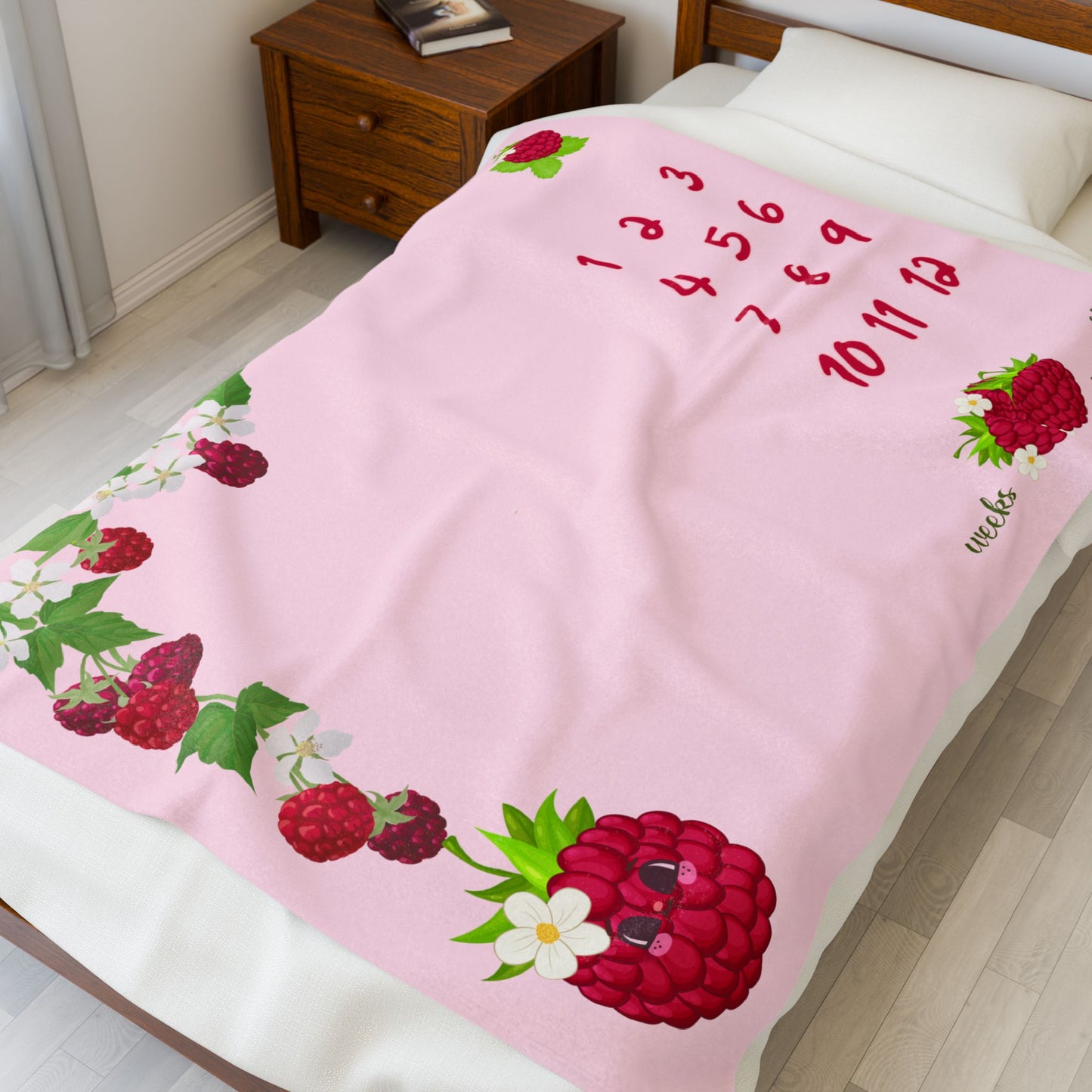 Raspberry Baby Girl Velveteen Plush Blanket