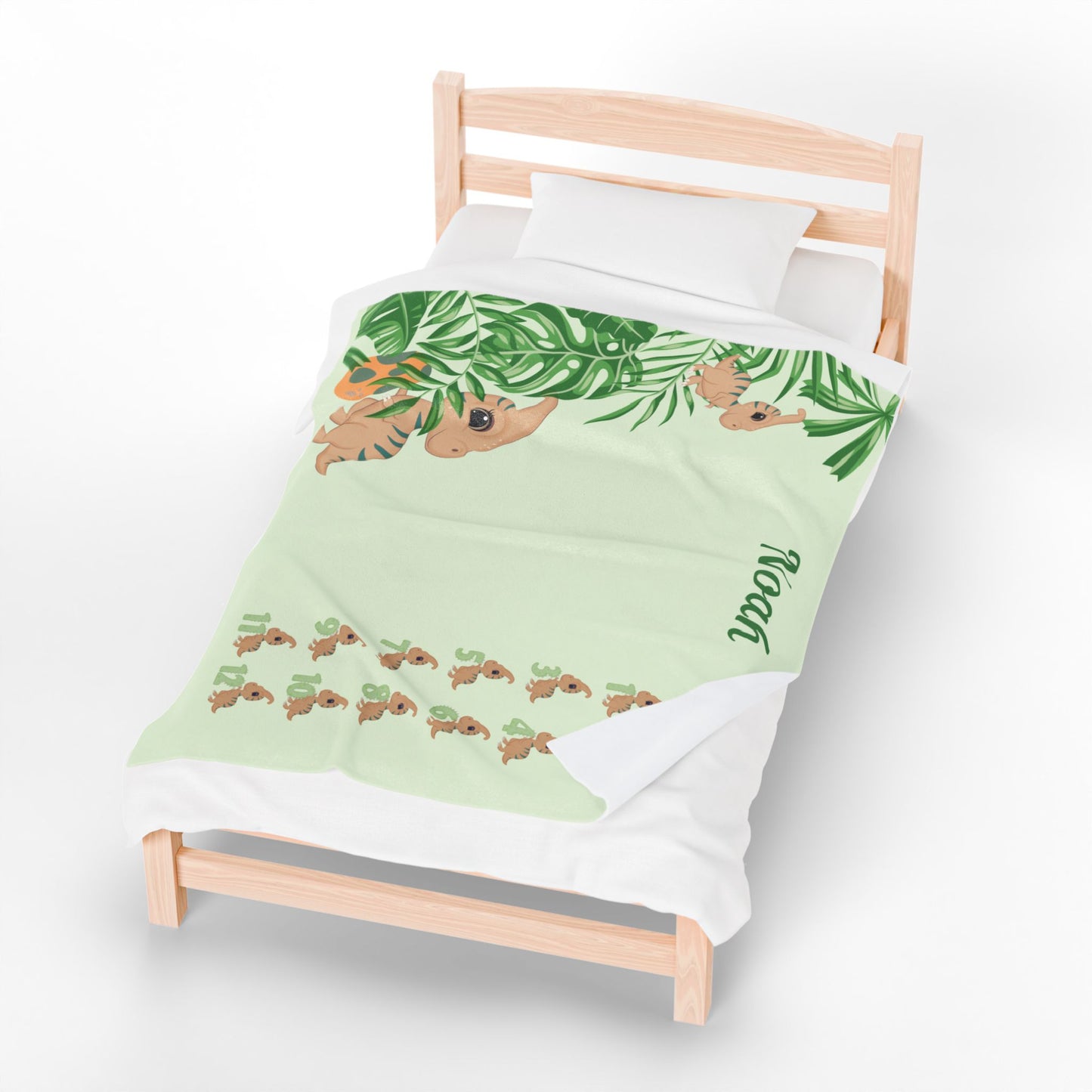 Personalized Dinosaur Milestone Baby Boy Blanket – Velveteen Plush Fleece