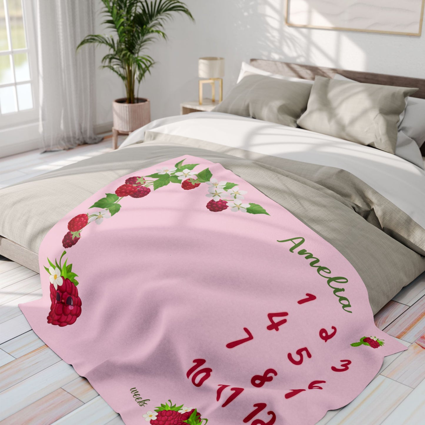 Raspberry Baby Girl Velveteen Plush Blanket