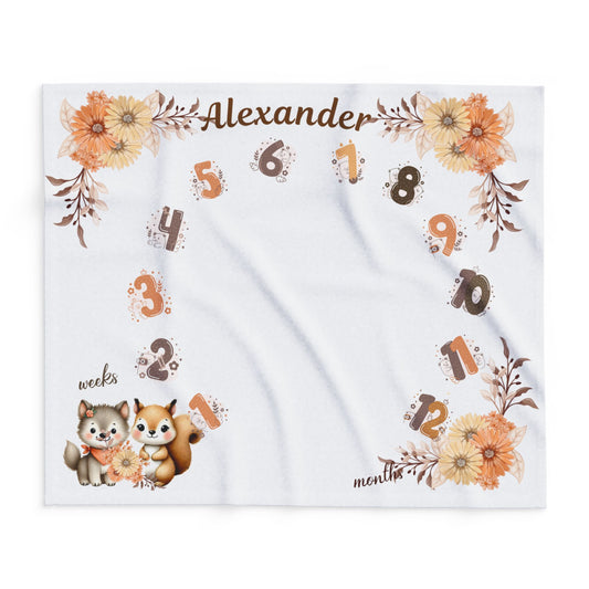 Forest Animals Baby Boy Velveteen Plush Blanket