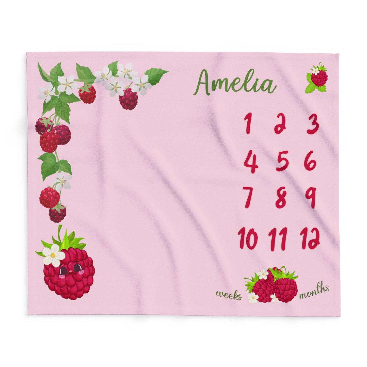 Raspberry Baby Girl Velveteen Plush Blanket