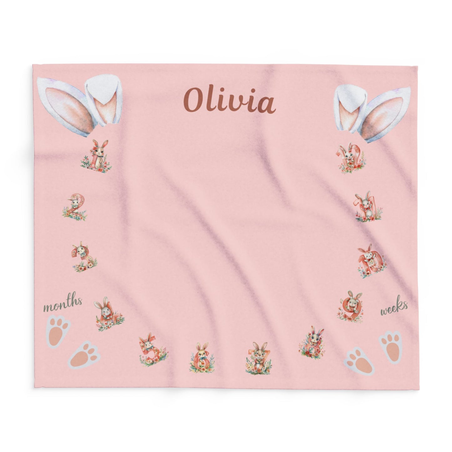 Rabbit and Numbers Milestone Baby Girl Velveteen Plush Blanket