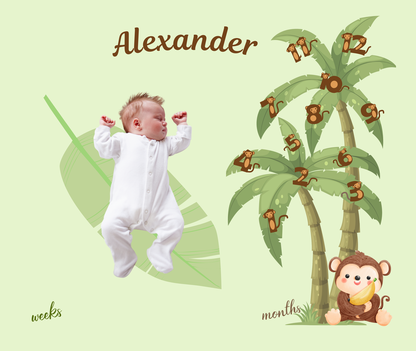 Monkey Numbers Baby Boy Velveteen Plush Blanket